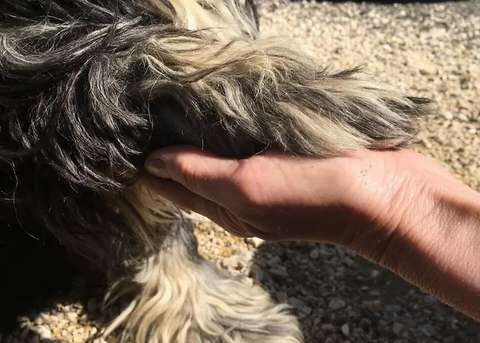 בית נופש Little Interval *